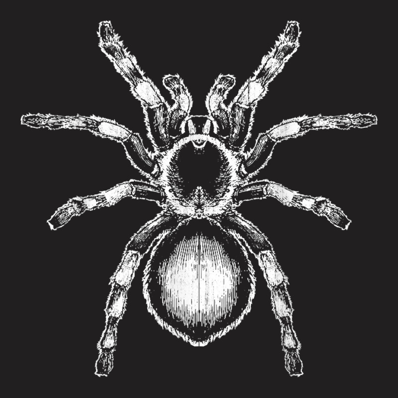 Tarantula Huge Spider Phobia Halloween Costume Arachnophobia T-shirt | Artistshot