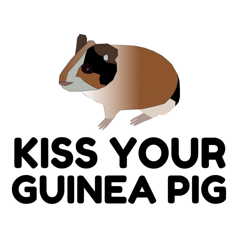 Kiss Your Guinea Pig Funny V-neck Tee | Artistshot