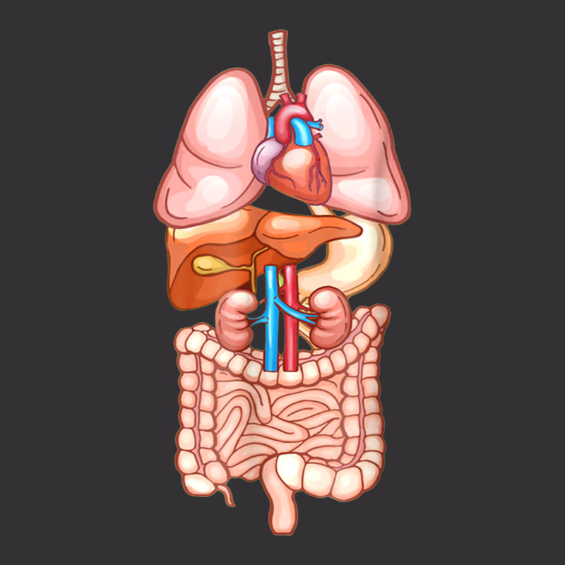 Halloween Internal Organ Diagram Anatomy Vintage Short | Artistshot