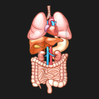 Halloween Internal Organ Diagram Anatomy Hoodie & Jogger Set | Artistshot