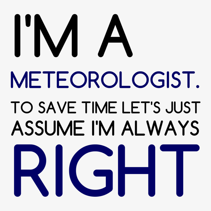 I'm A Meteorologist Ladies Fitted T-Shirt by Perfect Designers | Artistshot