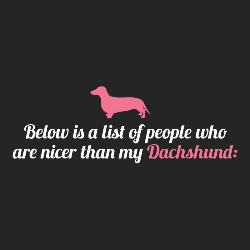 Below Is List Of People Who Are Nicer Than My Dachshund Unisex Hoodie | Artistshot