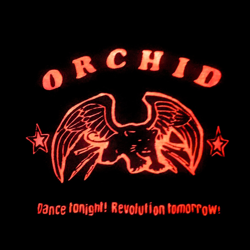 Orchid Dance Tonight, Revoluton Tomorrow, Orchid, Dance Tonight, Dance Fleece Short by SHUOPGHFR | Artistshot