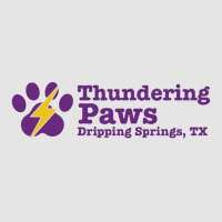 Thundering Paws Rectangle Exclusive T-shirt | Artistshot