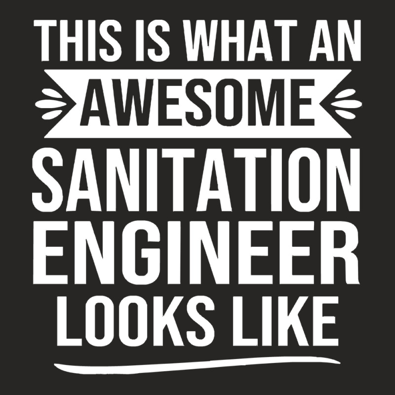 Sanitation Engineer T  Shirt Funny Sanitation Engineer Gifts Sanitatio Ladies Fitted T-Shirt by hugemelons | Artistshot