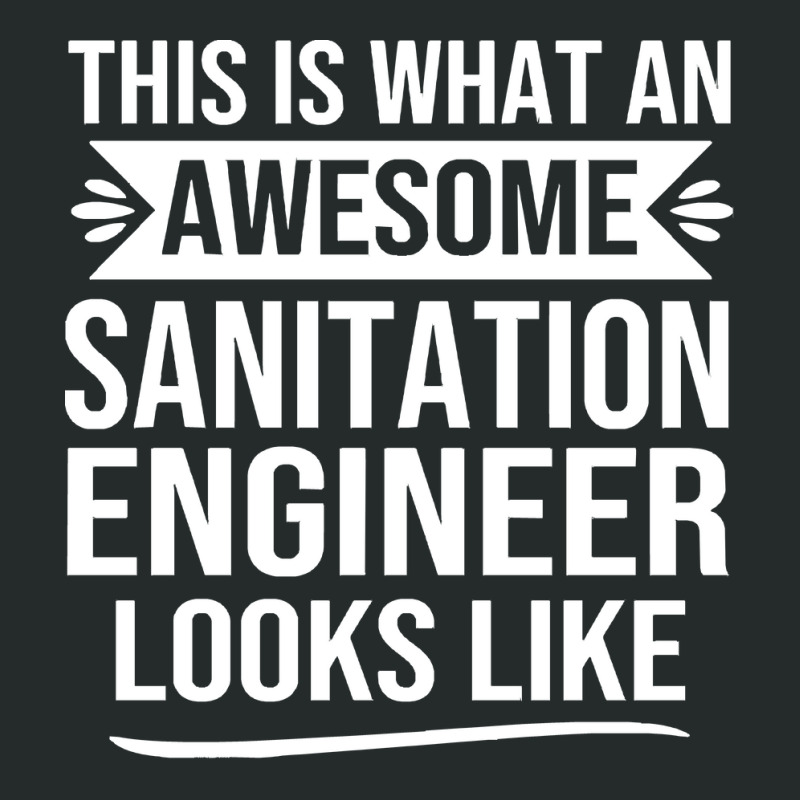 Sanitation Engineer T  Shirt Funny Sanitation Engineer Gifts Sanitatio Women's Triblend Scoop T-shirt by hugemelons | Artistshot