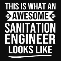 Sanitation Engineer T  Shirt Funny Sanitation Engineer Gifts Sanitatio Crop Top | Artistshot