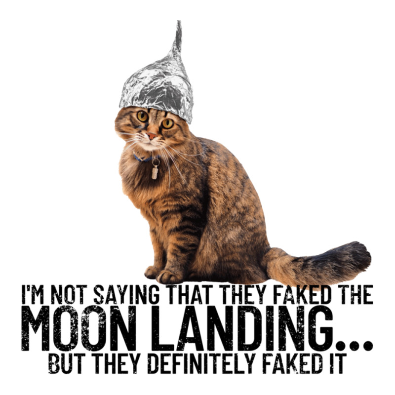 Conspiracy Cat Moon Landing Conspiracy Theory Tin Foil Hat Pullover Ho ...