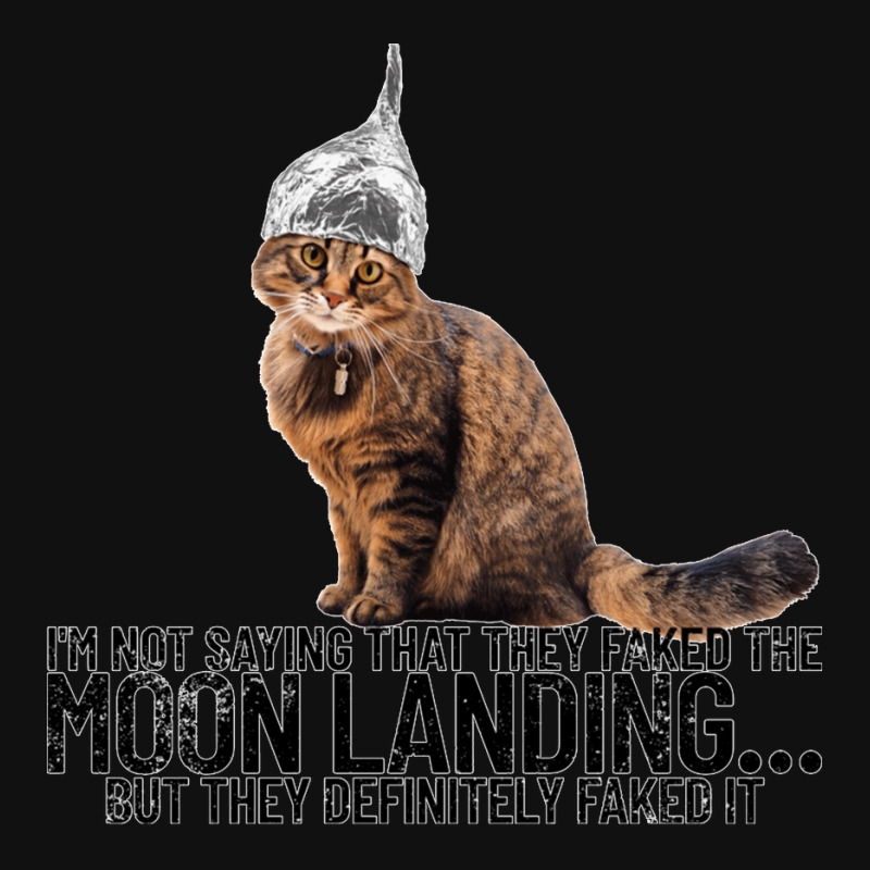 Conspiracy Cat Moon Landing Conspiracy Theory Tin Foil Hat Pullover Ho ...