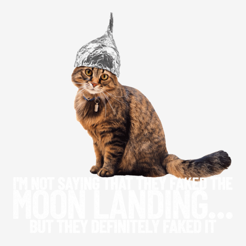 Conspiracy Cat Moon Landing Conspiracy Theory Tin Foil Hat Pullover Ho ...