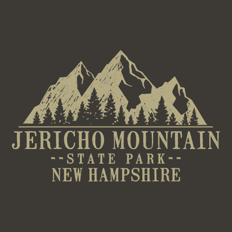 New Hampshire Jericho Mountain State Park Pullover Hoodie Bucket Hat by cm-arts | Artistshot