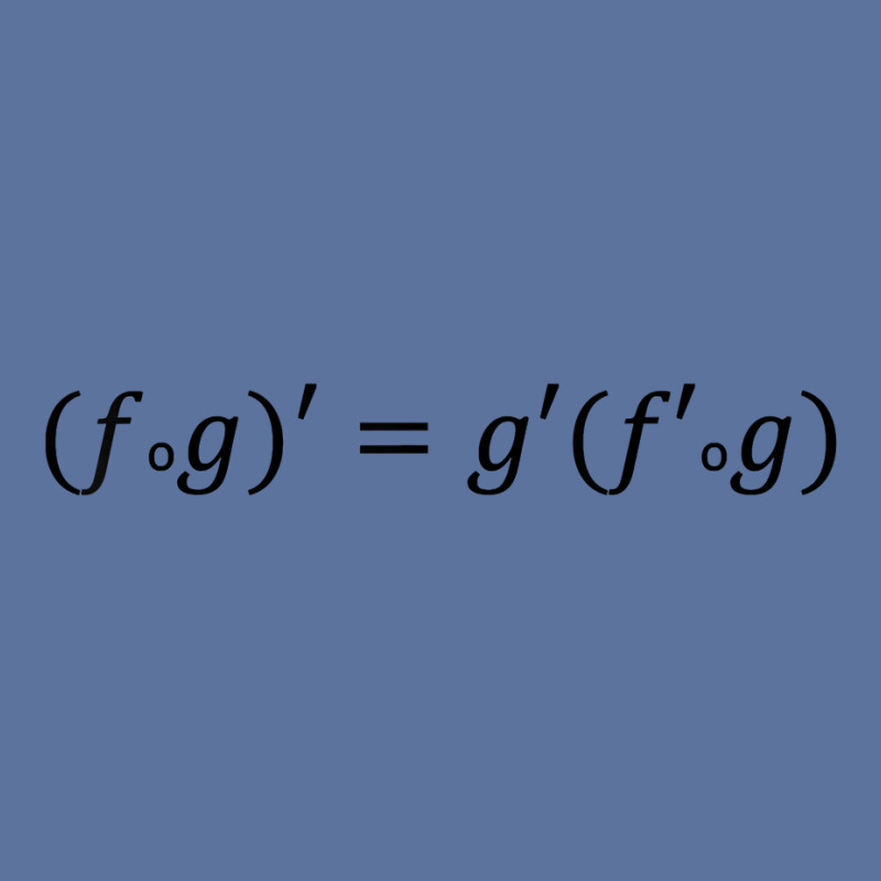 Derivative Of The Composition Of Functions, Math And Science T Shirt Lightweight Hoodie by cm-arts | Artistshot