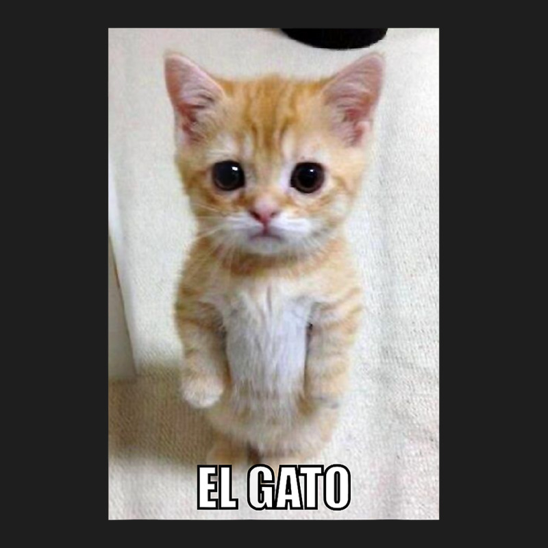 El Gato Meme Sad Crying Cat Munchkin Kitty Meme Trendy  Poster