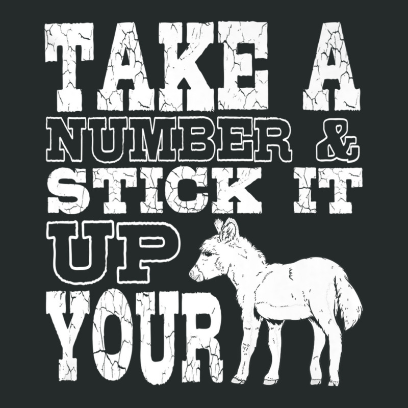 Donkey Show Shirts  Stick It Up Your Donkey Funny Gift Joke Women's Triblend Scoop T-shirt by cm-arts | Artistshot