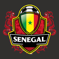 Senegal Champion Hoodie | Artistshot