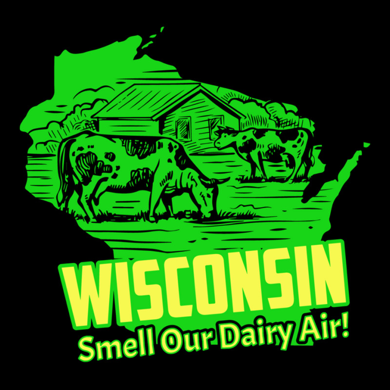 Wisconsin Smell Our Dairy Air Long Sleeve T Shirt Youth Hoodie | Artistshot