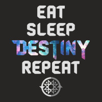 Eat Sleep Destiny Repeat  Gamers  Video Games Gaming Gift Ladies Fitted T-shirt | Artistshot