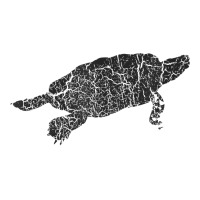 Snapping Turtle Distressed Print   Vintage Snapping Turtle T Shirt Sticker | Artistshot