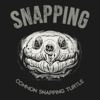 Common Snapping Turtle, Vintage Design For Reptile Lovers Hoodie & Jogger Set | Artistshot