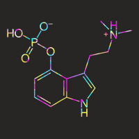 Psilocybin Molecule, Tie Dye, Mycology, Fungi, Mushrooms Ladies Fitted T-shirt | Artistshot