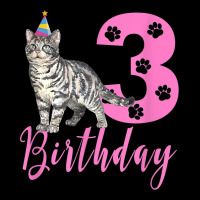 Cute American Shorthair 3th Birthday Zipper Hoodie | Artistshot