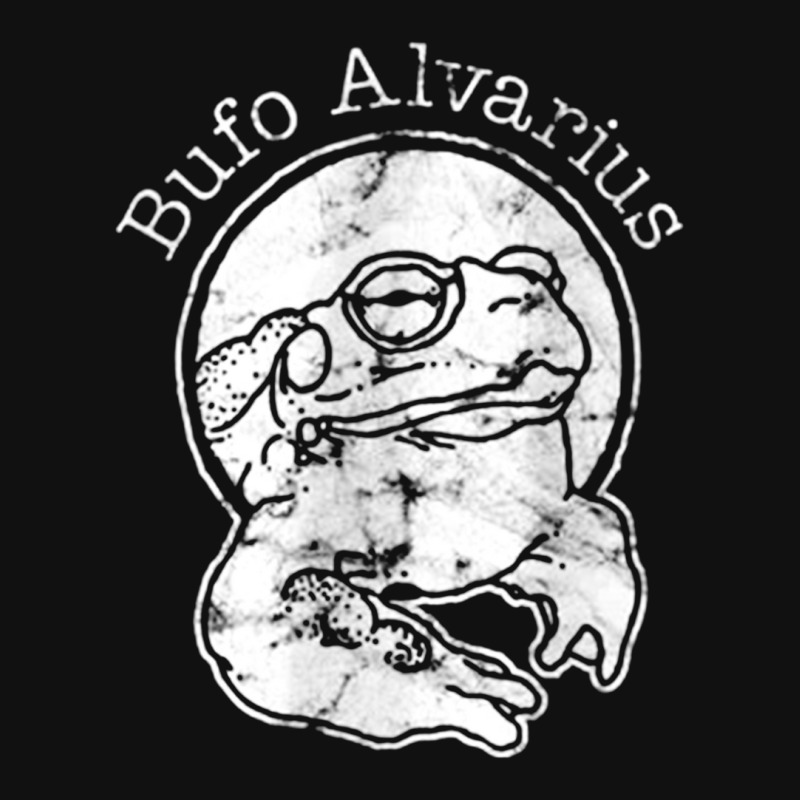 Dmt Bufo Alvarius Dmt Bufo Alvarius The Dmt Bufo Alvarius Dmt Buf