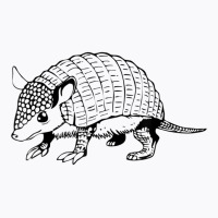 Armadillo Armour Shell Animal Cute Armadillo Funny T Shirt T-shirt | Artistshot