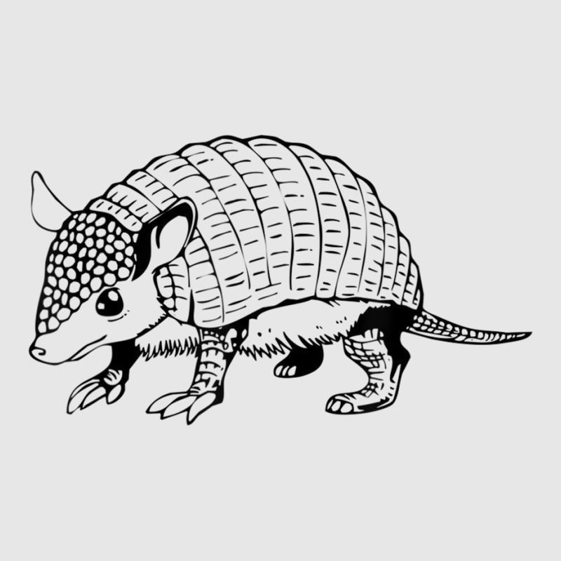 Armadillo Armour Shell Animal Cute Armadillo Funny T Shirt Hoodie & Jogger set by cm-arts | Artistshot