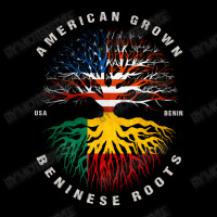 American Grown Beninese Roots Benin Flag Youth Sweatshirt | Artistshot