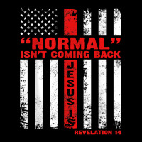 Normal Isn't Coming Back But Jesus Is Revelation 14 Costume T-shirt Adjustable Cap | Artistshot