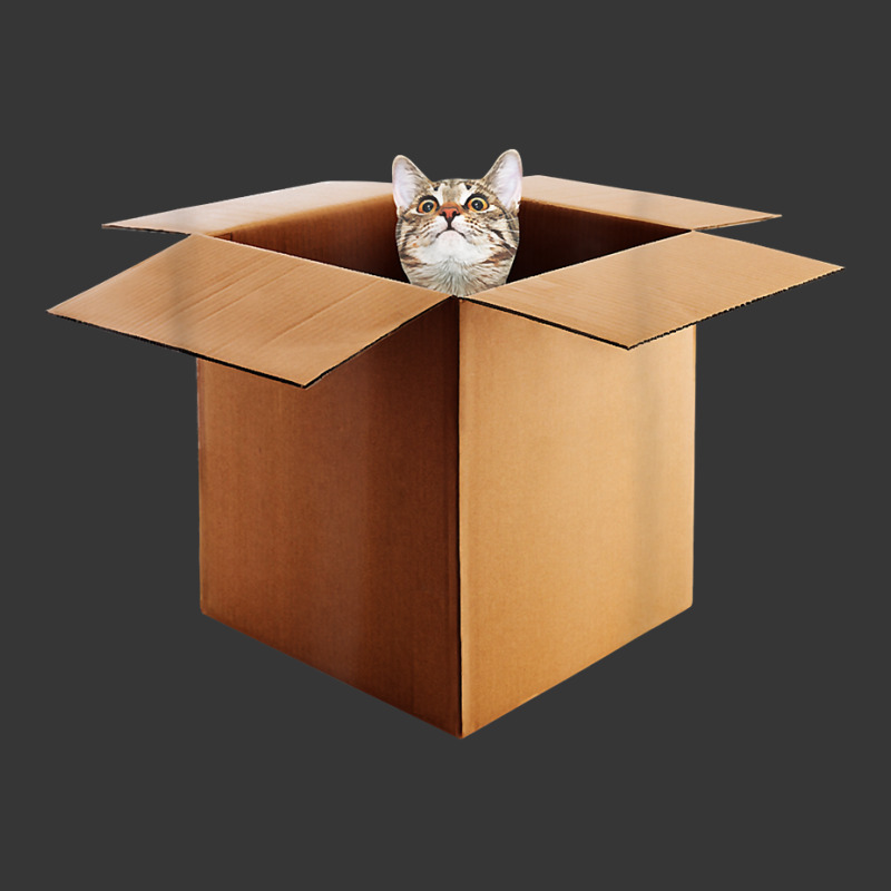 Funny Cat In A Big Cardboard Box For Cat Owners T Shirt Toddler Hoodie by cm-arts | Artistshot