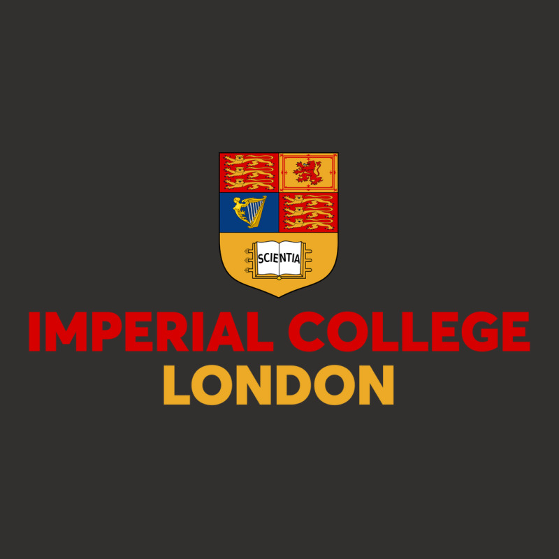 Imperial College London Champion Hoodie | Artistshot