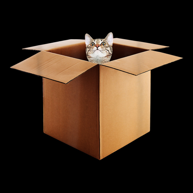 Funny Cat In A Big Cardboard Box For Cat Owners T Shirt Youth Jogger by cm-arts | Artistshot