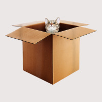 Funny Cat In A Big Cardboard Box For Cat Owners T Shirt Pocket T-shirt | Artistshot