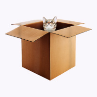 Funny Cat In A Big Cardboard Box For Cat Owners T Shirt Tank Top | Artistshot