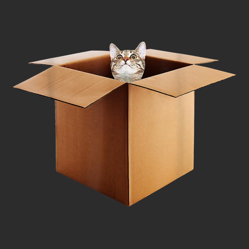 Funny Cat In A Big Cardboard Box For Cat Owners T Shirt Exclusive T-shirt by cm-arts | Artistshot