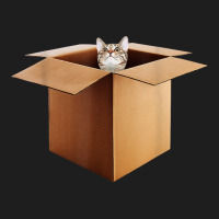 Funny Cat In A Big Cardboard Box For Cat Owners T Shirt Classic T-shirt | Artistshot