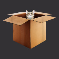 Funny Cat In A Big Cardboard Box For Cat Owners T Shirt Vintage Hoodie | Artistshot