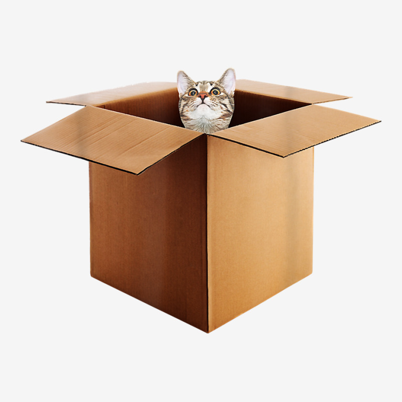 Funny Cat In A Big Cardboard Box For Cat Owners T Shirt Baby Beanies by cm-arts | Artistshot