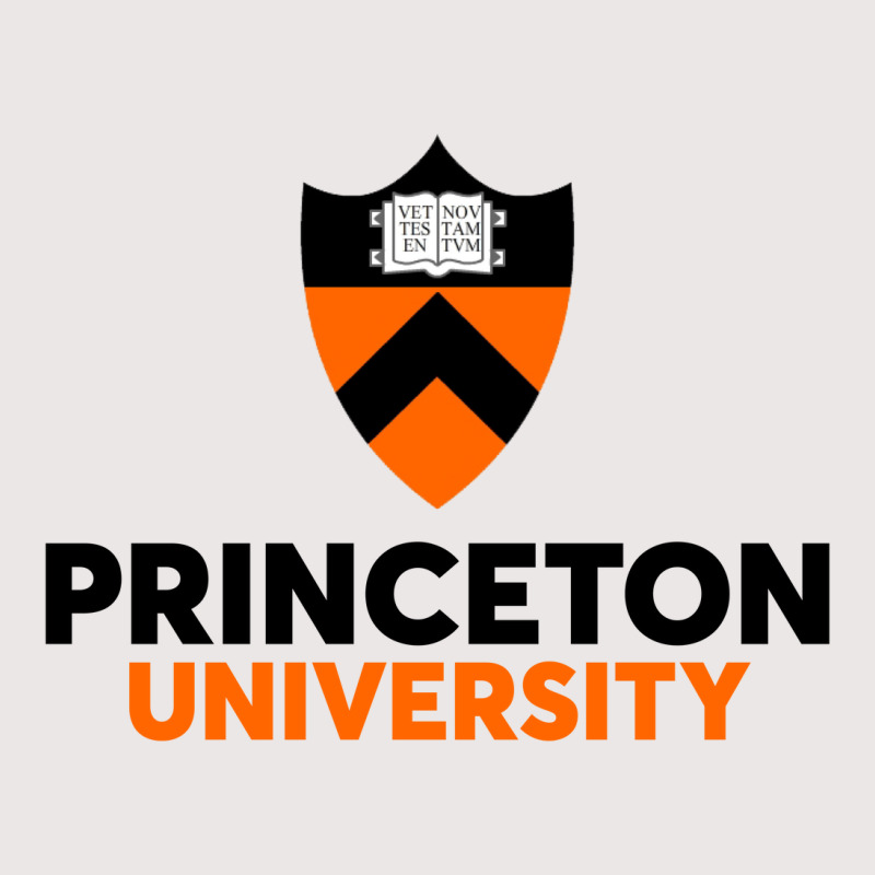 Princeton University Pocket T-shirt | Artistshot