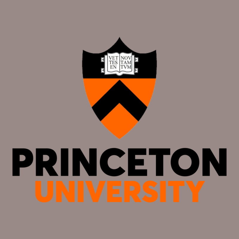 Princeton University Vintage T-shirt | Artistshot