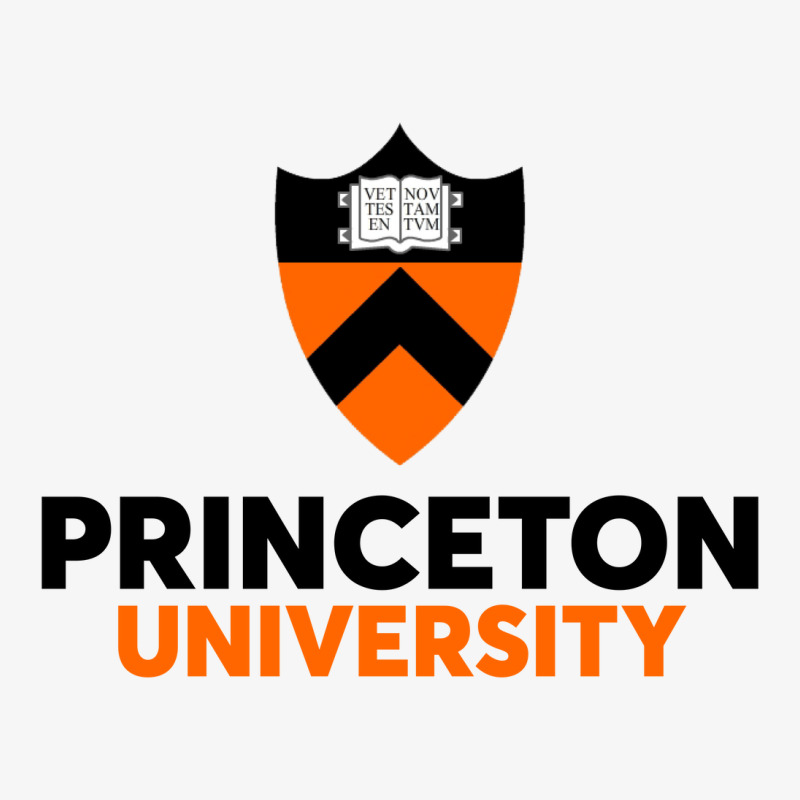 Princeton University Champion Hoodie | Artistshot