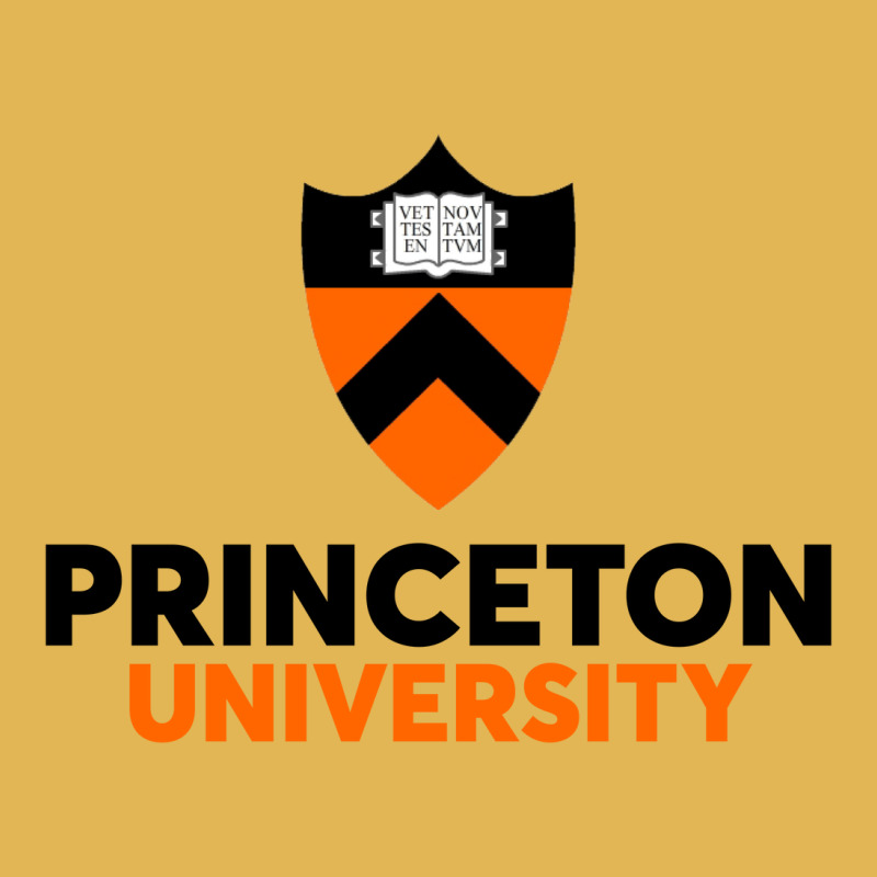 Princeton University Vintage Hoodie And Short Set | Artistshot