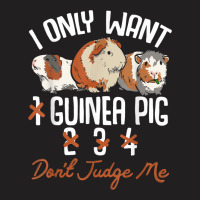 I Only Want 1 Maybe 2 Or 3 Or 4 Guinea Pigs Don't Judge Me T-shirt | Artistshot