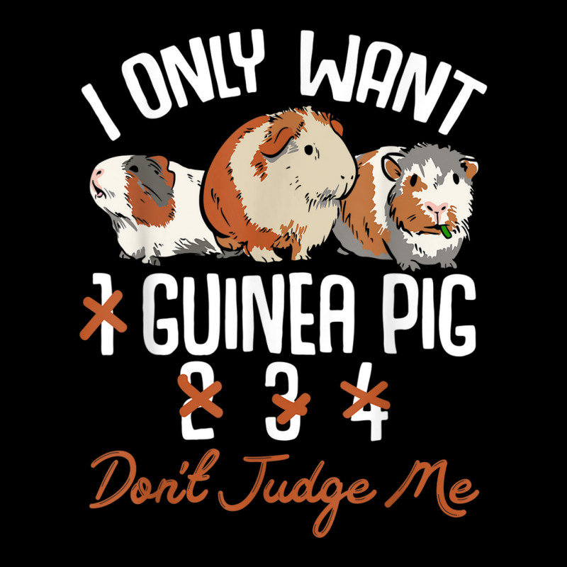 I Only Want 1 Maybe 2 Or 3 Or 4 Guinea Pigs Don't Judge Me V-neck Tee | Artistshot