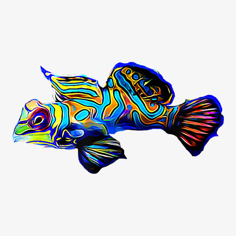 Mandarin Goby Dragonet Saltwater Reef Aquarium Fish Tank Ladies Fitted T-Shirt by cm-arts | Artistshot