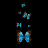 Butterfly Monarch Pack Butterflies T  Shirt Blue Morpho Butterfly Love Lightweight Hoodie | Artistshot