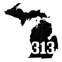 Detroit 313 Area Code Michigan Map State Pride Vintage T Shirt Baby Tee | Artistshot