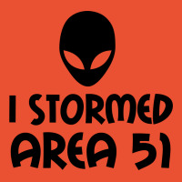 I Stormed Area 51 Alien Fan Ladies Fitted T-shirt | Artistshot