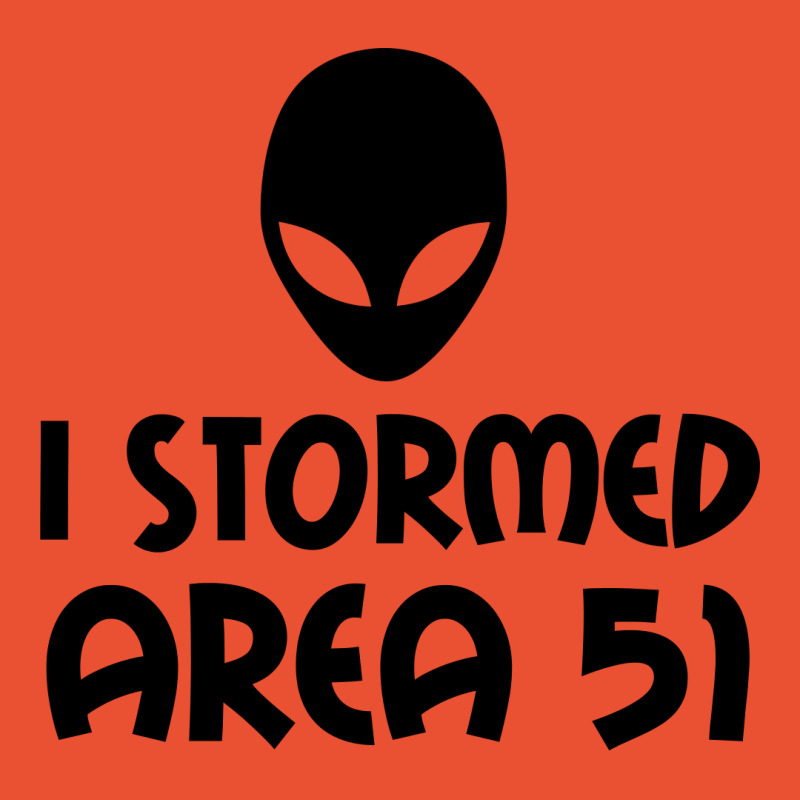 I Stormed Area 51 Alien Fan Ladies Fitted T-Shirt by Perfect Designers | Artistshot